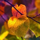 개포4-102 이미지