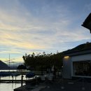 노이하우스 이미지