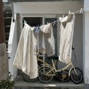 사계화 | [제주 서귀포시] 산방산 근처 감성숙소 사계화 초록집(한차집) ::: 내돈내산 2박 3일 숙박기🌿