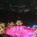 아이스헌터 | 그랜드 하얏트 서울 아이스링크 스케이트장 후기 가격 입장권 운영시간