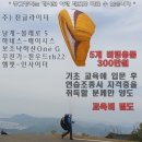 대전식장산 패러글라이딩 2인승비행 강습 - 기초과정 교육생 모집 이미지