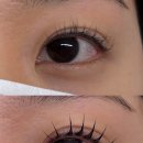 아인뷰티랩 눈썹&속눈썹펌 마곡점 | 광주 서구 아인뷰티랩 | 쌍촌동 노글루 속눈썹펌 | 상무지구 눈썹