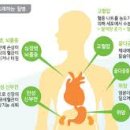 올나잇짐 이미지