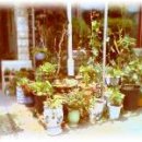 옛온천골 이미지