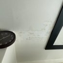 나운세경아파트 이미지