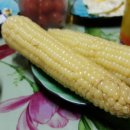 하루민박 이미지