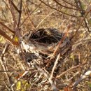 용인조정경기장 이미지