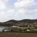 소라면 궁항~달천 이미지