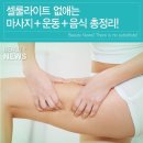 노블 휘트니스 이미지