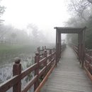 해안북로 이미지