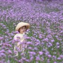 버들어린이집 이미지