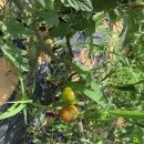 이천농장 이미지