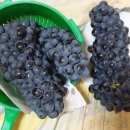 현대이용소 이미지