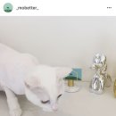 모베럴플러스