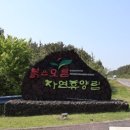 제주아이