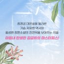 낙원요양원 | [대온실 수리 보고서 -김금희 작가의 창경궁 이야기 Ⅰ독서 후기]