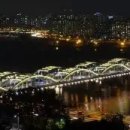 부산 티스토리