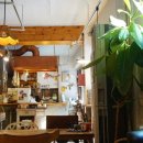 브라운칩 이미지