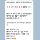 주노카 | 이탈리아 피렌체 여행 코스 : 근교 토스카나 와이너리 투어 (주노와스텔라)