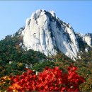 현대 대성 주유소 이미지