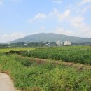 법인춘