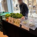 담 | 화성 대형 카페 박봉담카페 후기