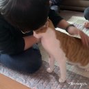 (주)힐링투어 네이버블로그