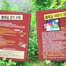 청도성수월마을 | 청도 비슬산 둘레길 108km 제6구간 ‘청도몰래길’ 완주기｜여름휴가 추천 시골 힐링코스
