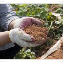 농부의 아침 이미지