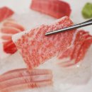 해도참치 이미지