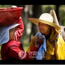 체육시간 이미지