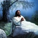 날마다좋은날 이미지