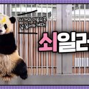 썸네일 - 사상구 | 썸네일