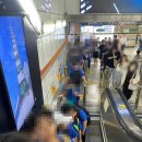 흔들리며 피는 꽃 | [초등 현장체험학습] 서울국제도서전 후기와 운영 과정 (2026 일정)