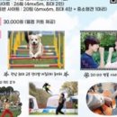 2025 캠핑으로 그린아일랜드 이미지