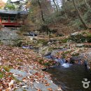 태안사계곡 이미지