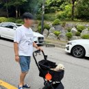 솔밭2길 네이버블로그