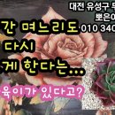 장미집
