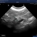 탄방메디칼 이미지