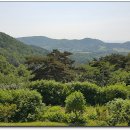 광림농원 이미지