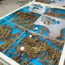 운하모텔 이미지