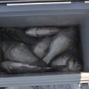 신명낚시 이미지