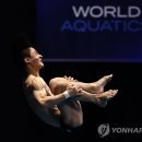 김영택 카카오 검색결과