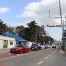 오가초등학교 버스정류장 이미지