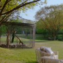 여주-0625 이미지