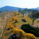 수원-1792 티스토리