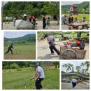 양평양떼목장 이미지