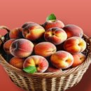 싱그러운청도로(여름) 이미지