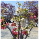 신동농장 이미지