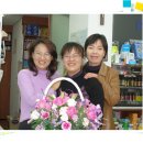 장미미소약국 이미지